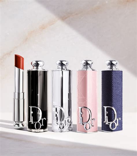 dior holiday lipstick case|dior lipstick collection.